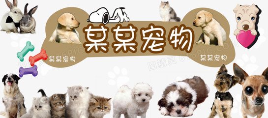 usdt哪里注册
