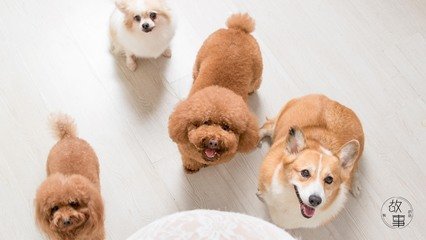 metamask钱包的下载链接
