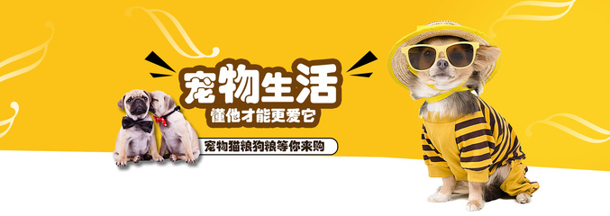 比特币钱包中文版下载