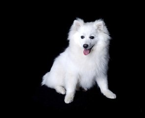 Crypto钱包app官网下载