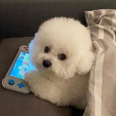 toptoken钱包下载