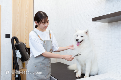 比特币软件钱包